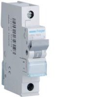 Hager 25A S/P B Curve 6kA MCB MBN125W