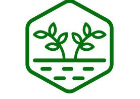 NETS, POLYTHENE & CROP COVER