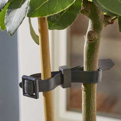 Smart Garden Buckle Rose & Shrub Ties - 4 Pack 1