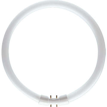 PHILIPS  60W TL5 COL 84 CIRCULAR LAMP 5000 LM