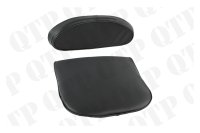 Seat Cushion Fiat