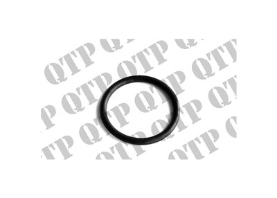 54224_O_Ring.jpg