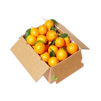 Orange Prepack(2kg)