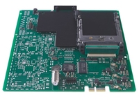 2 x CI Slots Output Module