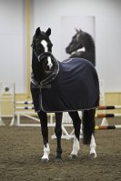 Show-Line Fleece 400 165 Navy/Gr