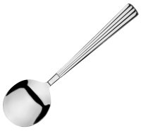 Endurance Soup Spoon 18/10