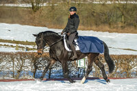 Bucas Quarter Sheet, 125/S, Navy