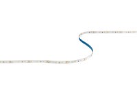 VEGAS EXPRESS 4.8W/m 12V LED striplight 3000K IP20 5m