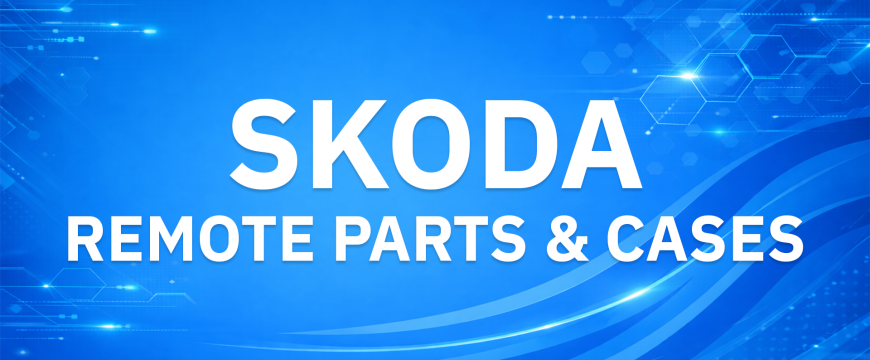 Skoda Remote Parts & Cases