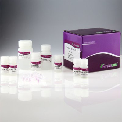 Soil DNA Extraction Kit