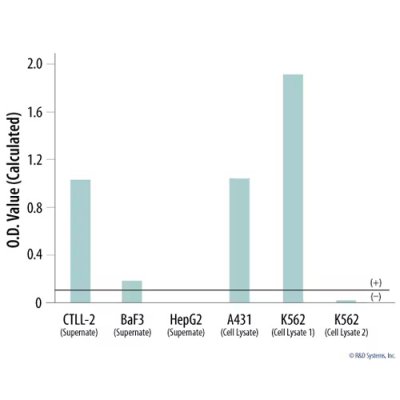 Mycoplasma Detection Kit, MycoProbe, 1 kit