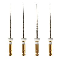 Perfection Plus Endoplus Alternative Path Files 31mm - 4pk