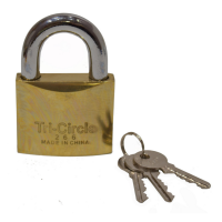 Centurion Brass 'Tri-Circle' Padlocks, 63 mm