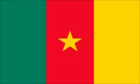 Cameroon Flag 1.5 Yard