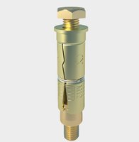 Wall Anchor With Bolt M10x85mm 25mm Fixture Pack of 2