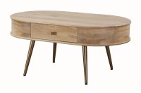 Avadi Hand Made Natural Mango Wood 2 Drawer Curved Ends Coffee Table with Brass Legs