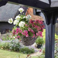 Smart-Garden-Tawny-Faux-Rattan-Hanging-Basket-14in