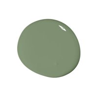 Colourtrend Woodland Willow Colour Swatch
