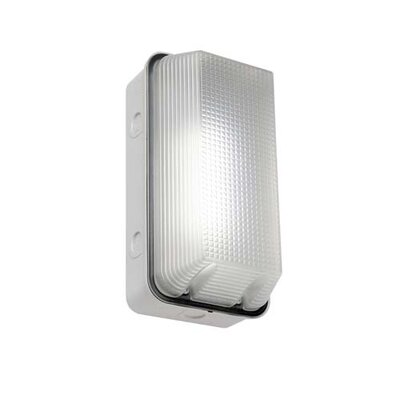 EVOLEC 100W WHITE POLY. BC BULKHEAD  ( BOX 20 ) | P100BHW