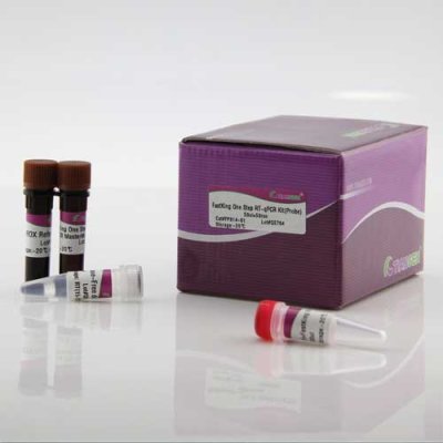 Tiangen FastKing One Step RT-qPCR Kit with probe for RNA quantification