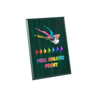 17.5cm Green Plaque - UV Printed