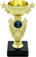 16cm Gold Plastic Cup Trophy (V202)