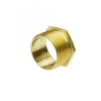 50mm Brass Long Male Bushing