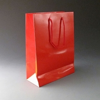 Medium Red Luxury Bag