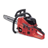 Castelgarden XC250 Chainsaw