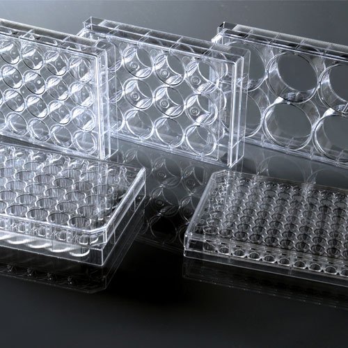 Cell Culture Plates WhiteSci