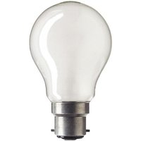 Rough service lamp 100 watt b.c.
