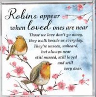 Glass Block Paperweight/Robin Near You  (50689)