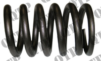Valve Spring