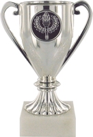 14cms Plastic Silver Cup on White Marble