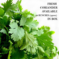Coriander (Box)
