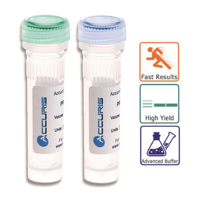 Accuris Taq Polymerase, sample size, 50u  (5u/μl)