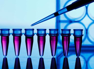 Laboratory Plasticware & Consumables