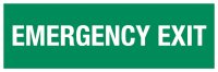 Emergency Exit (Text Only)