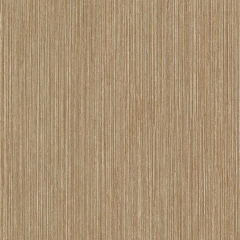 Birch plywood - CT84