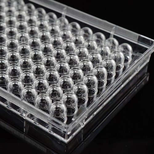 Cell Culture Plates WhiteSci