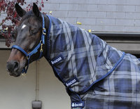 Celtic Combi Neck, 115/XS, Tarta