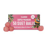 Suet to Go BERRY Suet Balls 50 Refill Pack BOX
