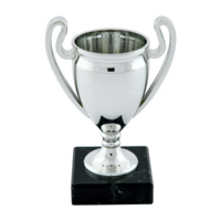 21cm Plastic Euro Cup on Black Marble