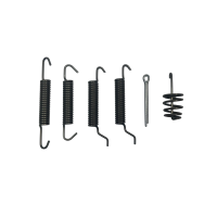 HUB 203X40 SPRING KIT KNOTT