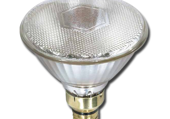 LED Heat Lamps