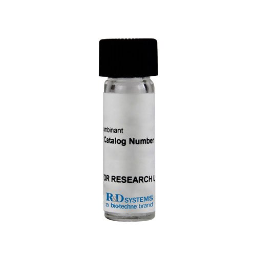Protein, Recombinant Human/Mouse/Rat Activin A Protein, 50 &micro;g