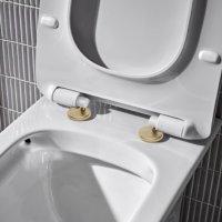 Tucker French Toilet Seat Hinge Covers Brushed Brass Finish