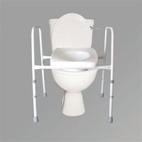 Stirling Toilet Frame