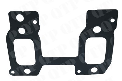 Exhaust Gasket (F743200100020)