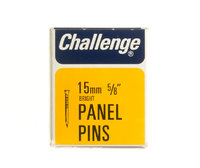 Challenge Bright Steel Panel Pins 15mm 40g